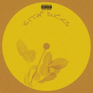 SITTIN' DUCKS (feat. Matt Mars) [Explicit]