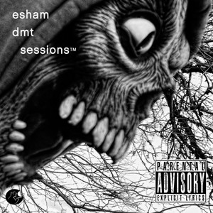 DMT Sessions (Explicit)