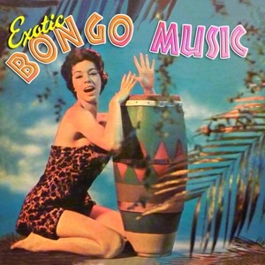 Exotic Bongo Music