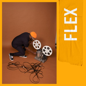 FLEX (Explicit)