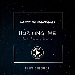 Hurting Me(feat. Avdhesh Babaria)