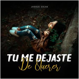 Tu me Dejaste de Querer