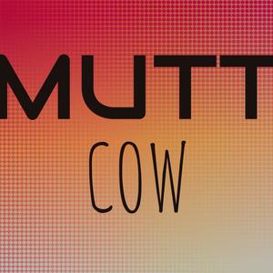 Mutt Cow