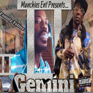 Gemini (Explicit)