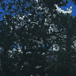 Dinero y problemas (Explicit)