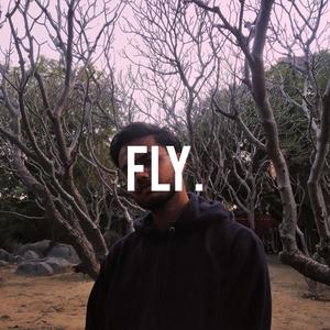 Fly