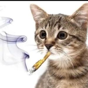 going away w/ guitarbf