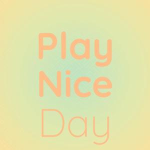 Play Nice Day