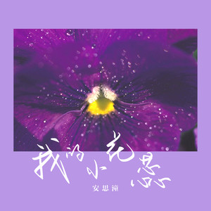我的小花蕊 (DJ阿卓版)