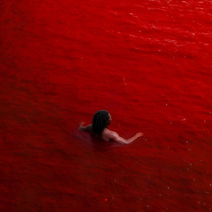 Beautiful Anthem (Explicit)