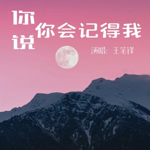 你说你会记得我