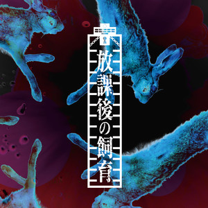 ADVENTURE TIME (LIVE Take at Shibuya Club Quattro on November 24. 2018)