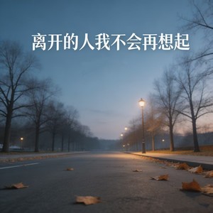 离开的人我不会再想起