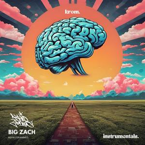 Fxck Yo Life (feat. Kanser, Big Zach & Slim Chance) (Reprogrammed Instrumental)