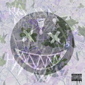 Social Experiment 1 (Explicit)