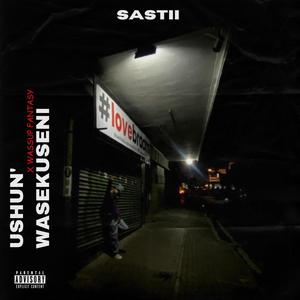 Ushuni Wasekseni (feat. Wassup Fantasy) (Explicit)