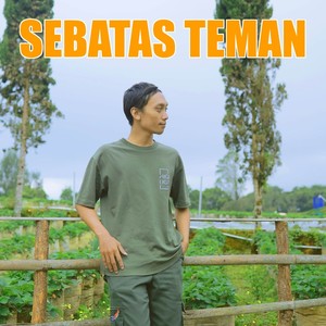 Sebatas Teman