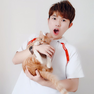 卡卡西不是卡卡西，是一只蠢猫