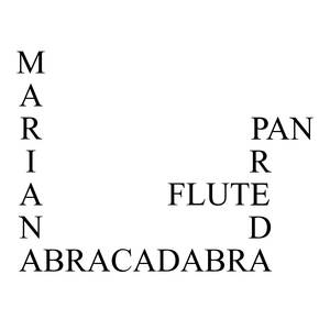 Abracadabra (Panflute Version)