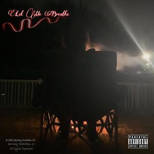 Let Me Breathe (feat. pillow1x) (Explicit)