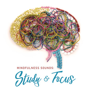 Mindfulness Sounds: Study & Focus