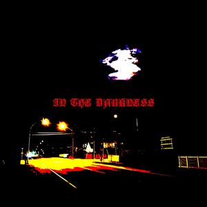 IN THE DARKNESS (feat. Nyhtmare) (Explicit)