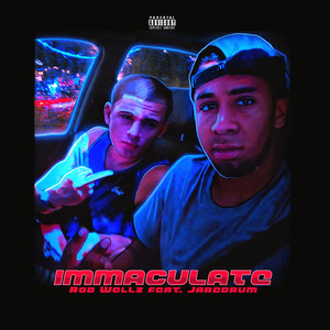 Rob Wellz - Immaculate (Explicit)