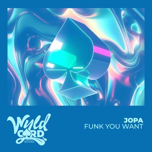 Funk You Want (Extended Mix)