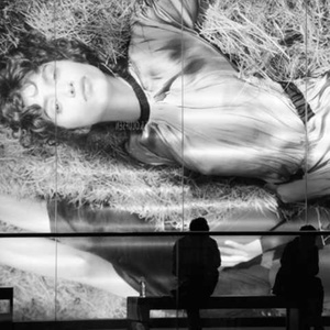 你是山楂树，我是你脚下的坟