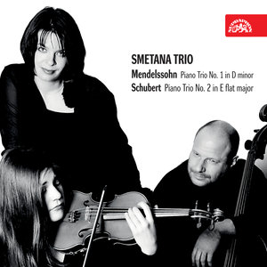 Trio for Piano, Violin, and Cello in E flat Major, Op. 100: II. Andante con moto