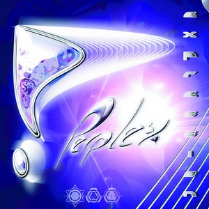 Relationchip (PERPLEX Remix)