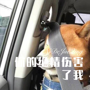 棠花 (Remix)