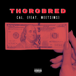 Thorobred (feat. MeetSims) - Single (Explicit)