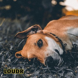 Loudr (Explicit)