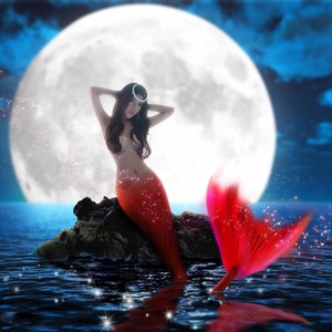 心跳 (DJ现场版)