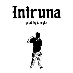 intruna (feat. ianegkn)