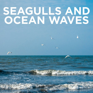 Seagulls and Ocean Waves