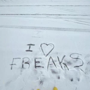 Freakylinq (feat. Dreamixan) (Explicit)