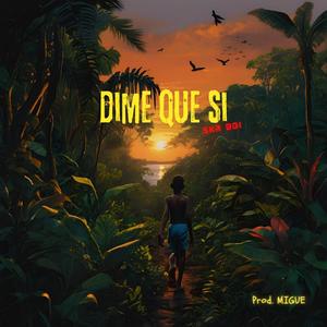 DIME QUE SI