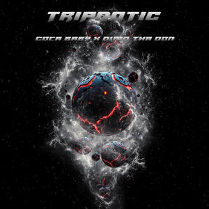 WHAT TO DO WITH IT (feat. Quan Tha Don) (Explicit)