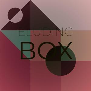 Eluding Box