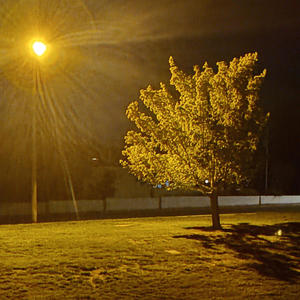 Defeated (feat. Decadesofdaze) (E.P. version) (Explicit)