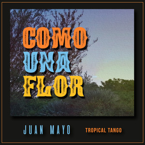 Como una Flor - Single