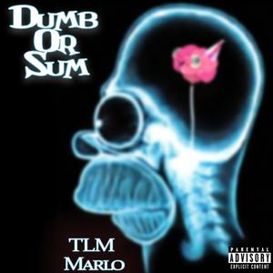 Dumb Or Sum (Explicit)