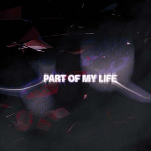 Part of my life (Explicit)
