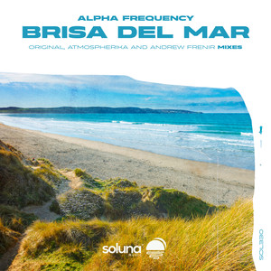 Brisa Del Mar (Andrew Frenir Remix)