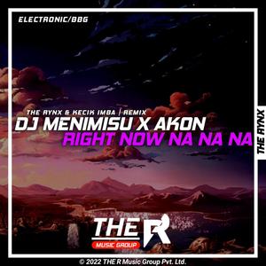 Menimisu X Akon Right Now Na Na Na (KI Remix)