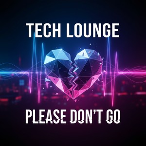 Please Don't Go (Korean tech house)
