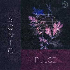 Sonic Pulse