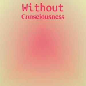 Without Consciousness